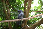 DSC_9144.JPG